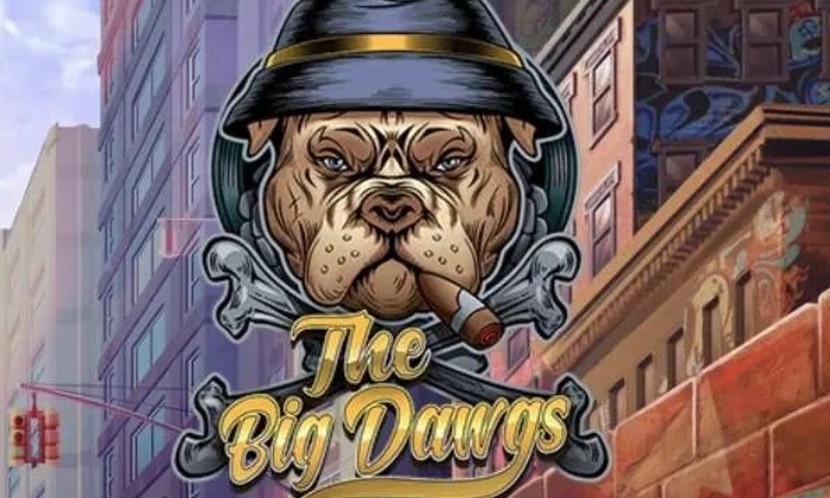 The Big Dawgs