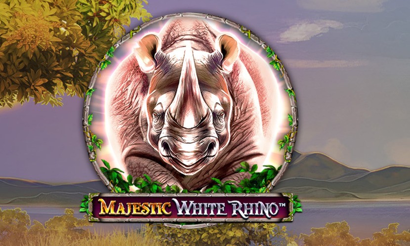 Majestic White Rhino