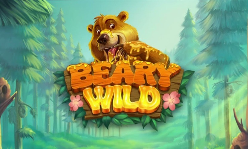 Beary Wild