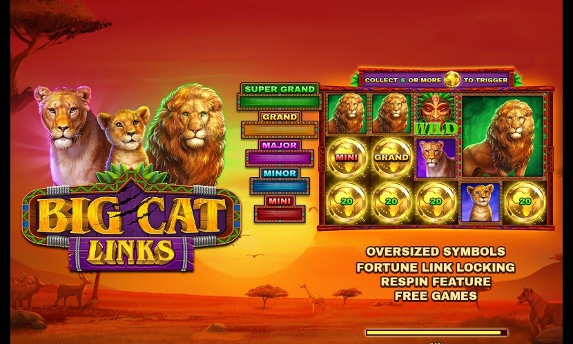 Big Cat Links