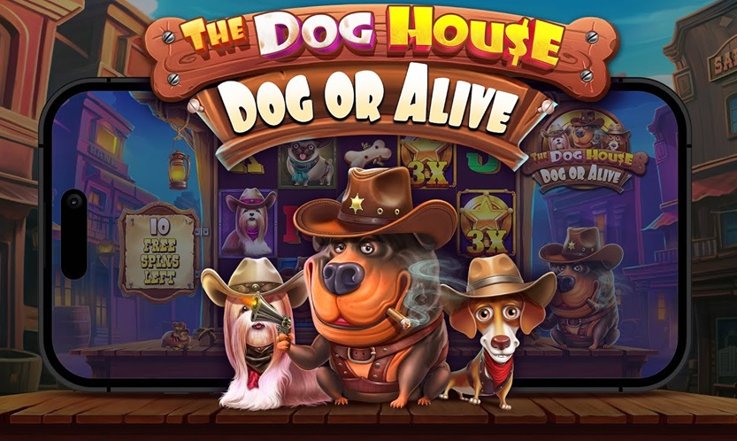 The Dog House - Dog or Alive