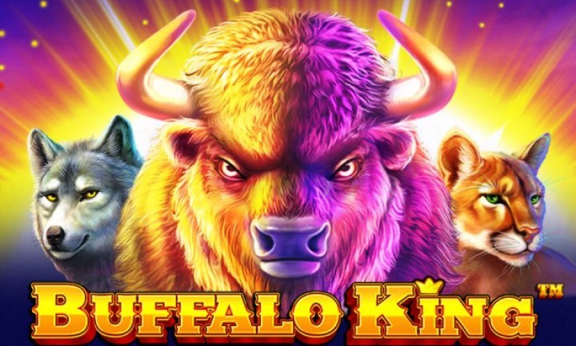 Buffalo King