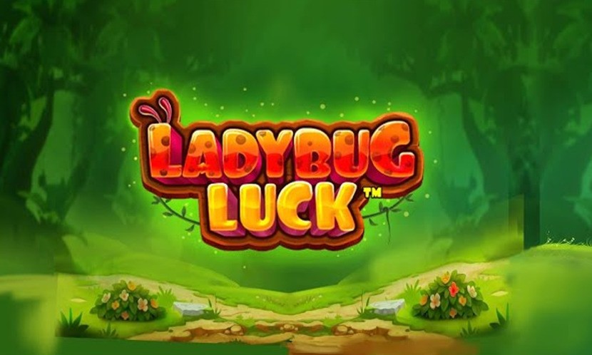 Ladybug Luck